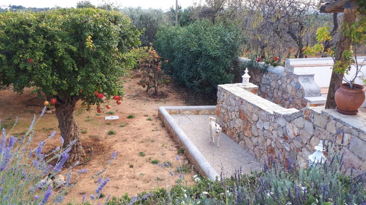 Bed and Breakfast Retiro Da Janela Boliqueime Exterior foto