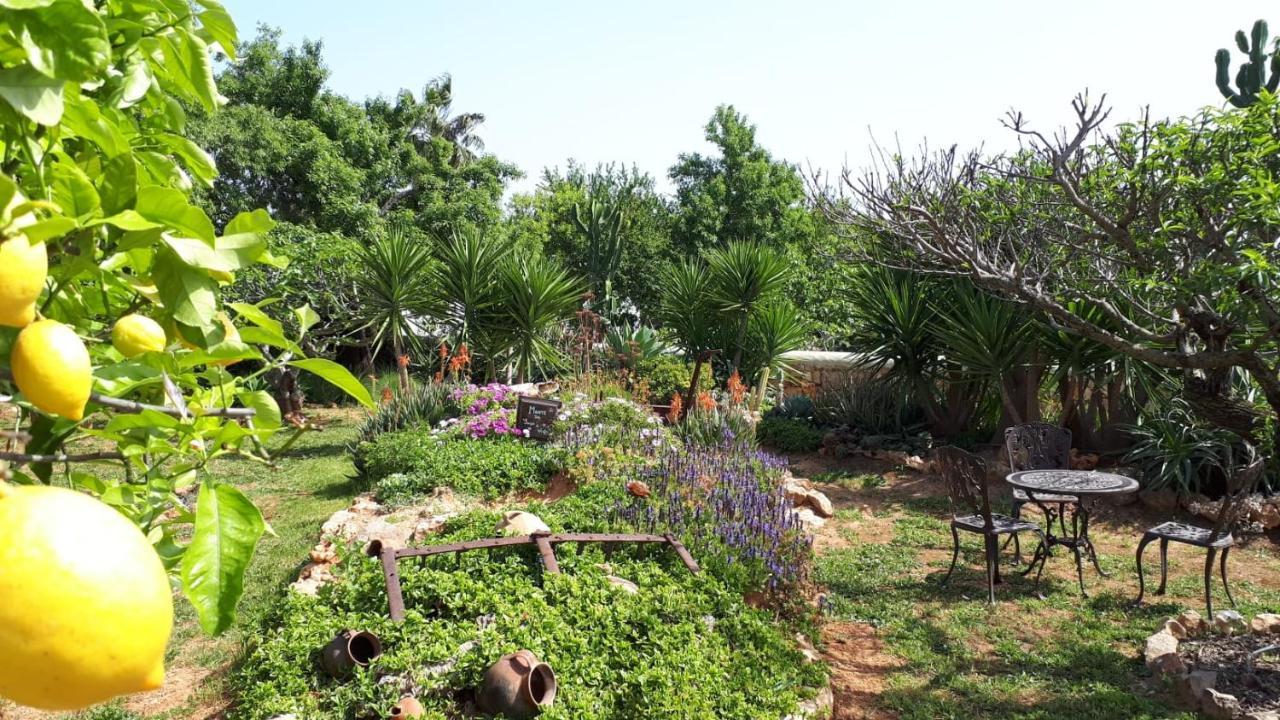 Bed and Breakfast Retiro Da Janela Boliqueime Exterior foto